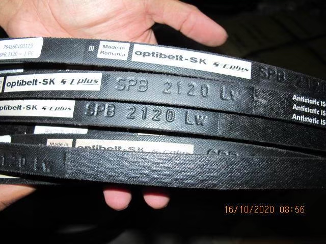 Belt Photo 9